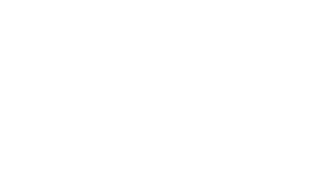 Opticon Data Solutions - 2023